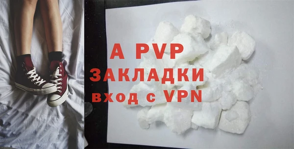 спайс Арсеньев