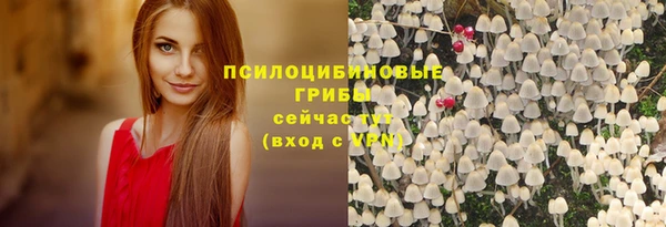 круглые Аркадак